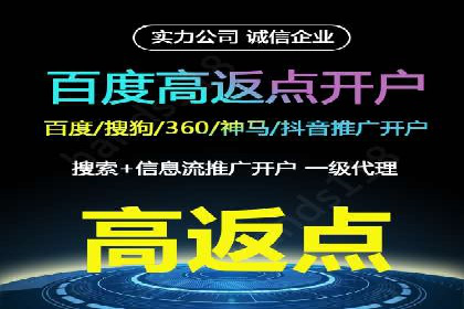 百度SEO推广策略案例：一家公司的成功转型之路